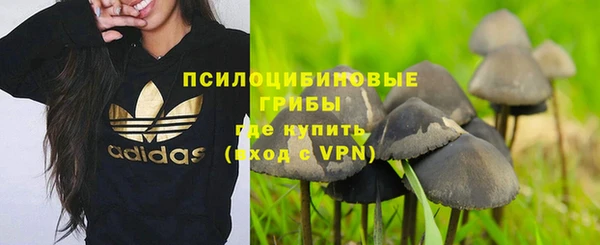 марки nbome Няндома