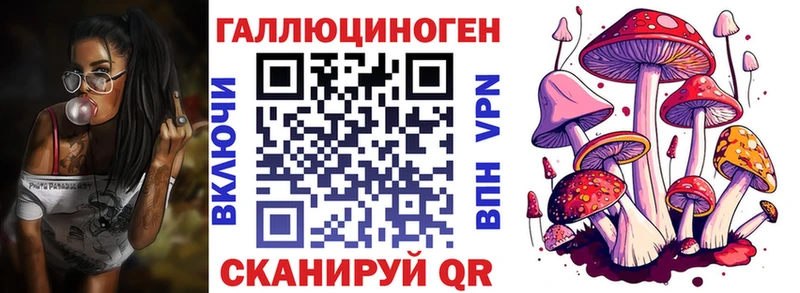 Галлюциногенные грибы Psilocybe  Купить закладки  Грязи 